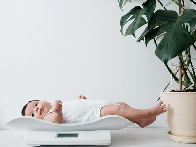kebutuhan asi bayi