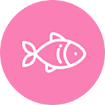 Ikan Gabus Icon